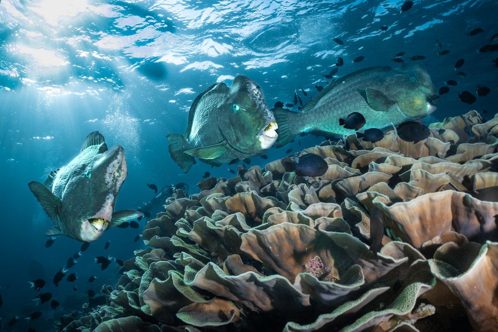 Photograph by Ceci Ver