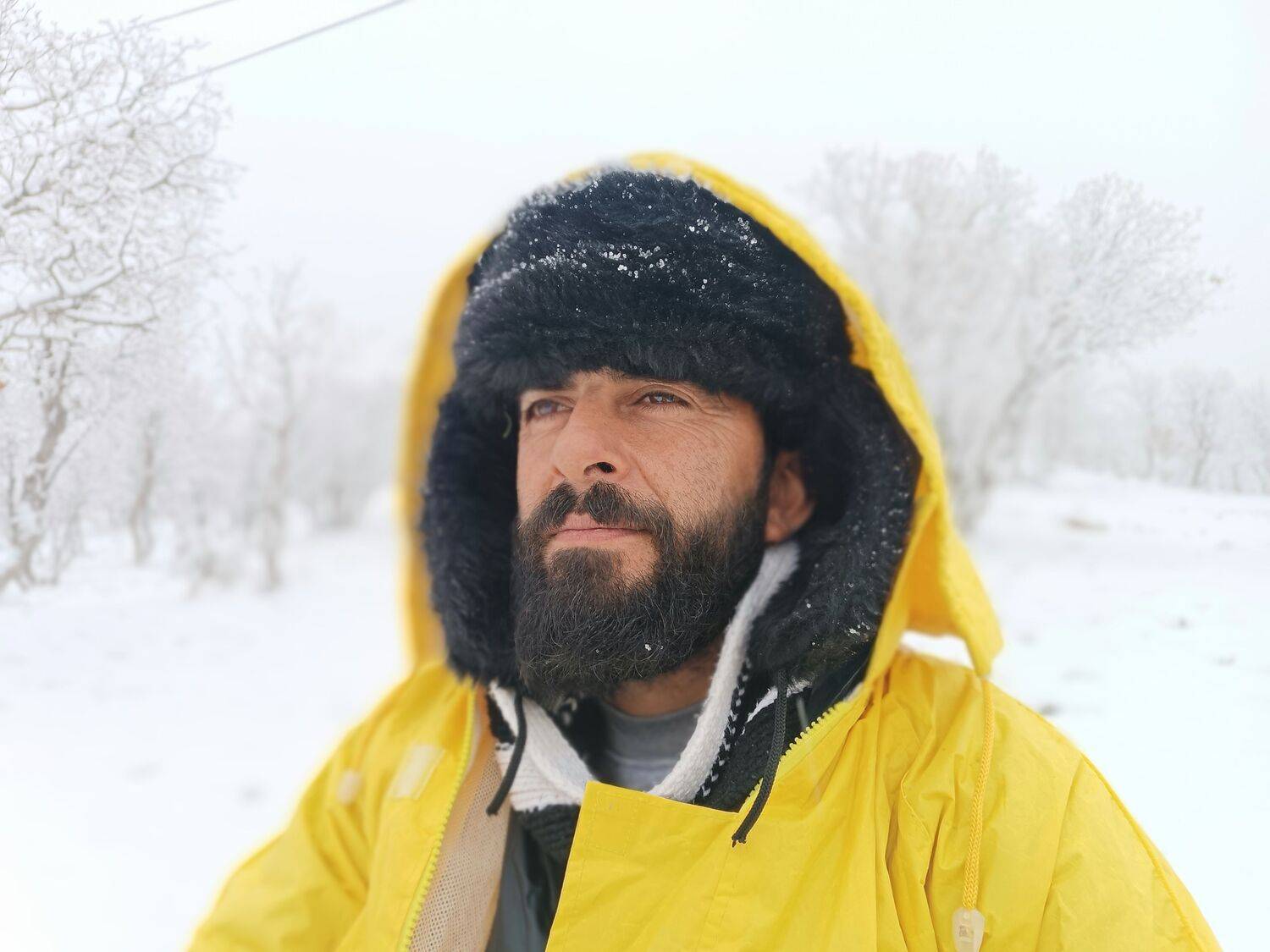 in the snow