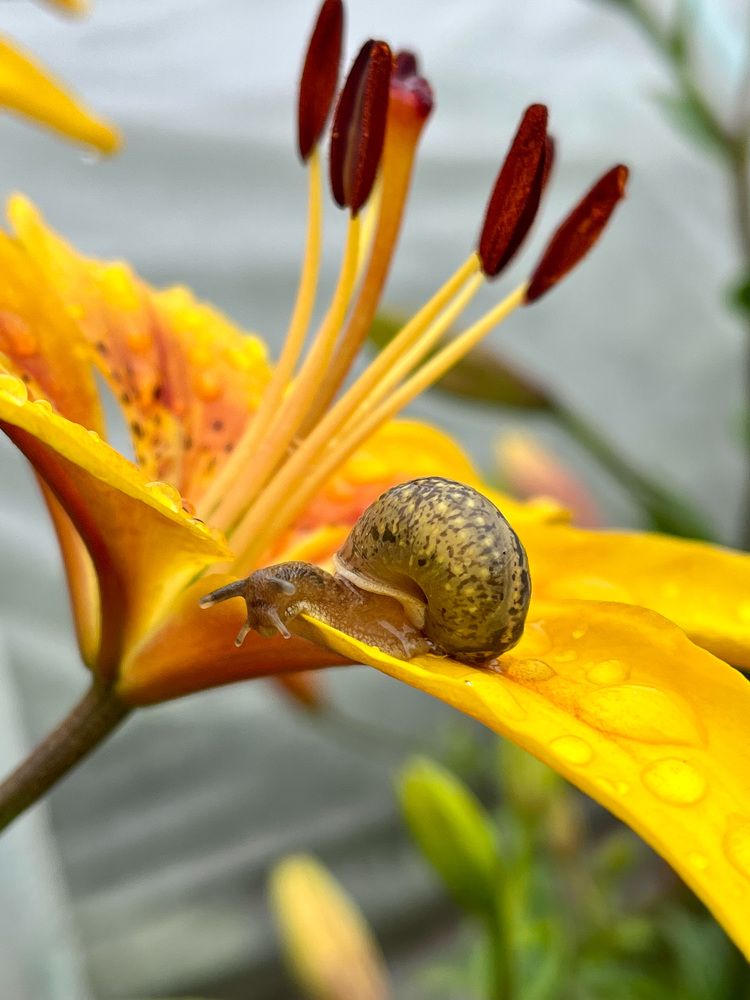 Photograph by Елена Карпухно