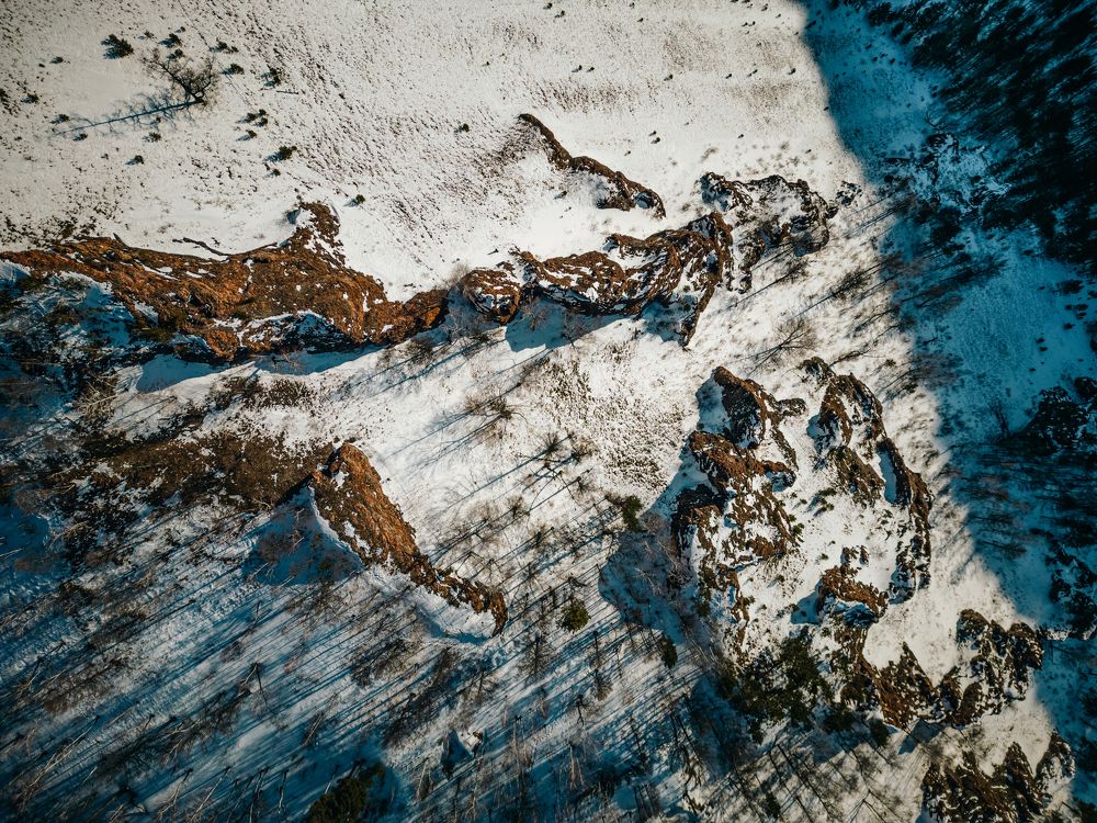 Фотография автора Дмитрий Ширнин