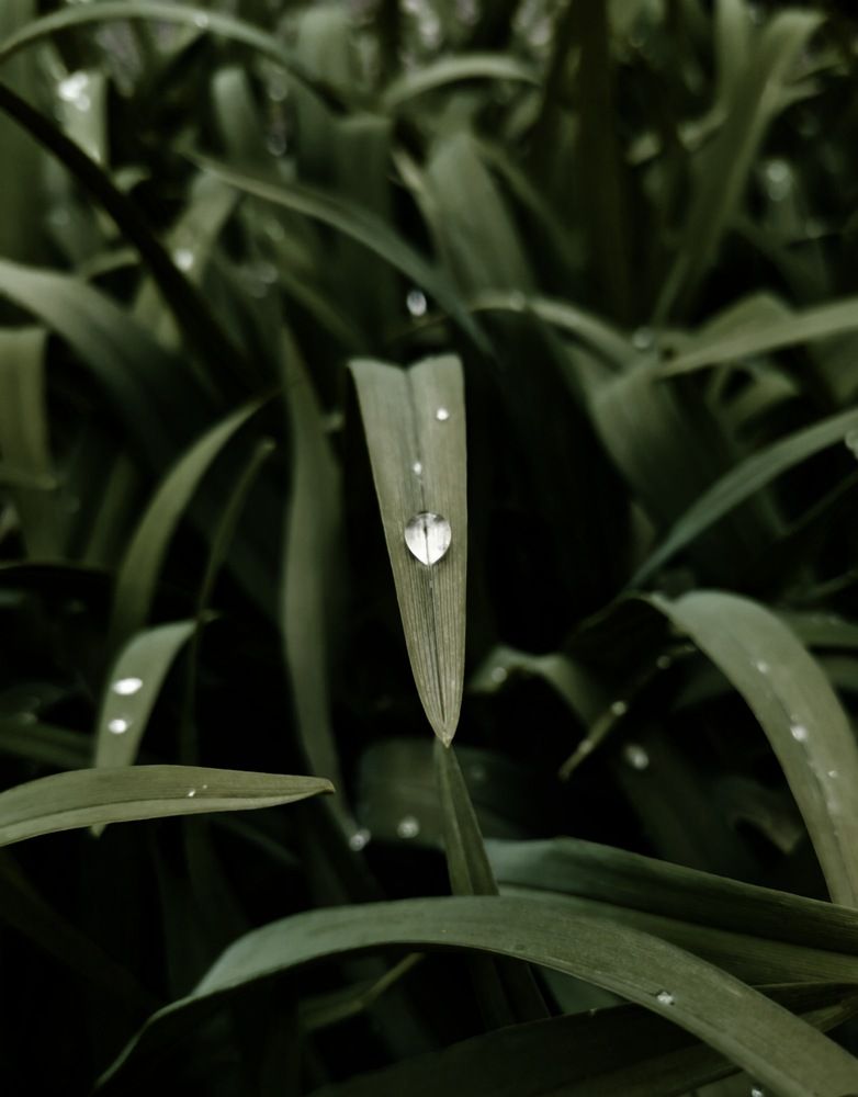 Photograph by domen slemensek