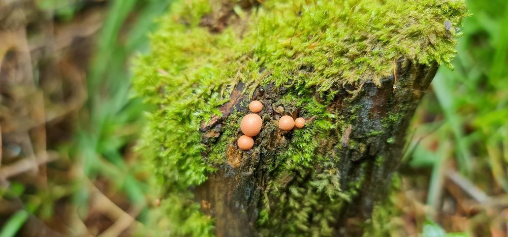 Photograph by Kim Natasha