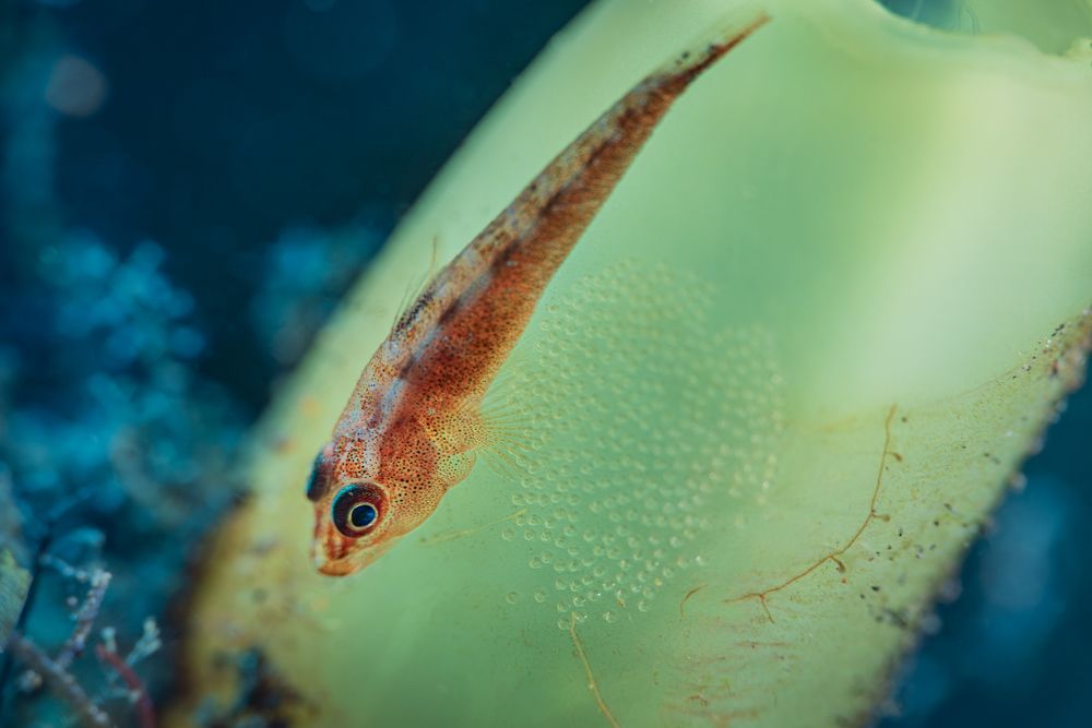 Photograph by Shinto K Anto