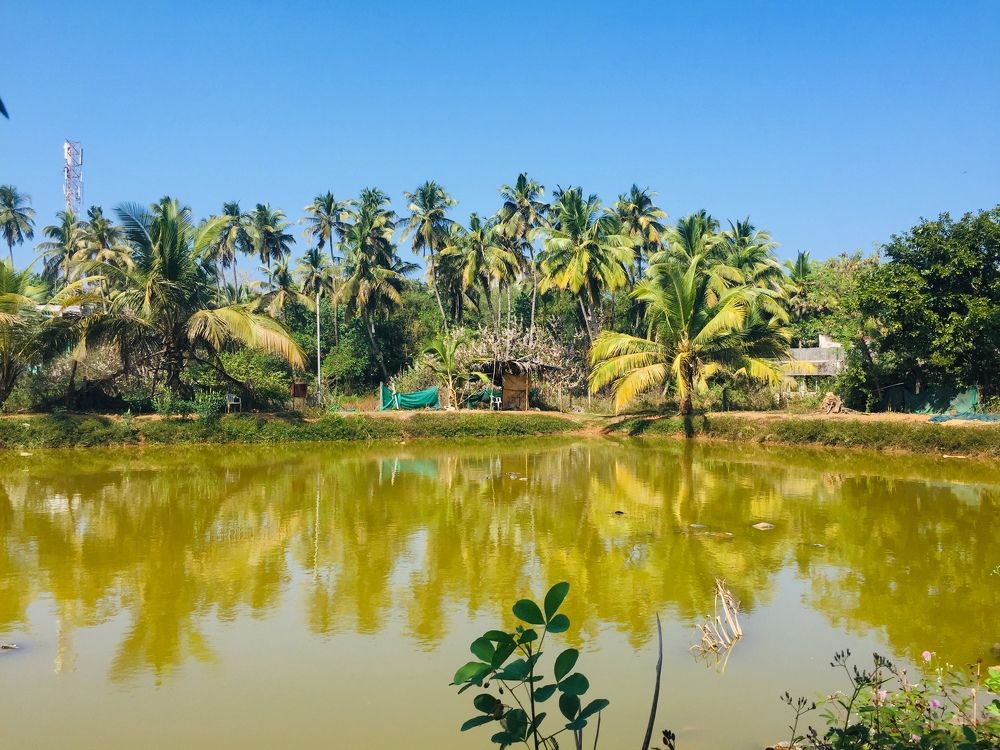 Photograph by Gourav Lanjewar