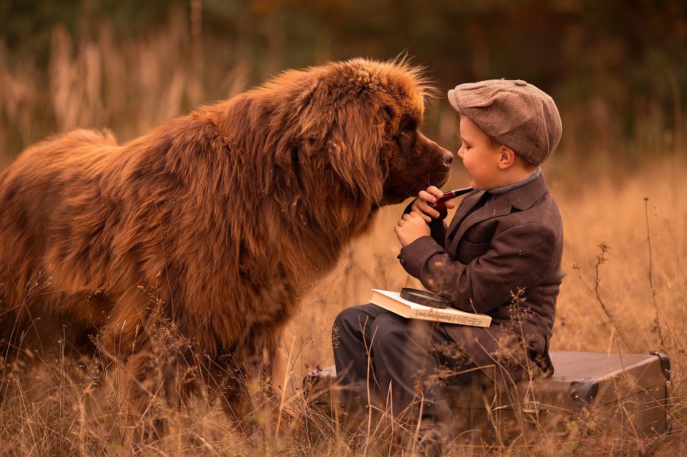 Photograph by Анастасия Тимшина