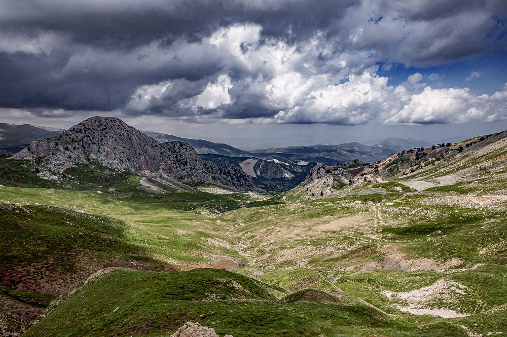 2500 above sea level