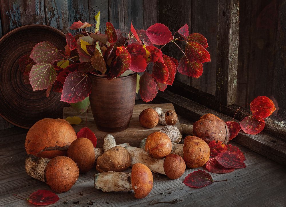 Photograph by Наталья Кабачек