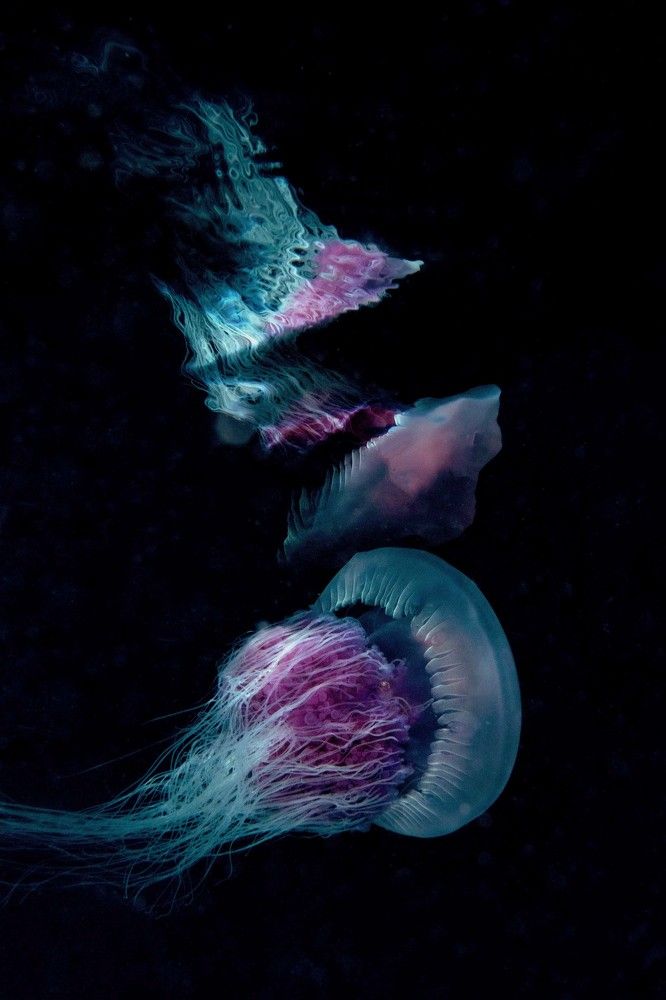 Photograph by Deniz muzaffer Gokmen