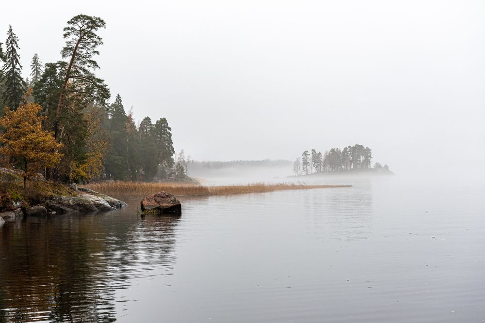 Photograph by Евгений Моляшов