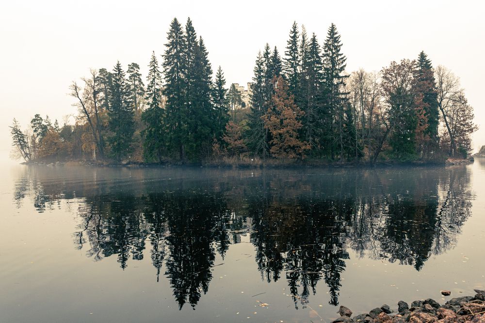 Photograph by Евгений Моляшов