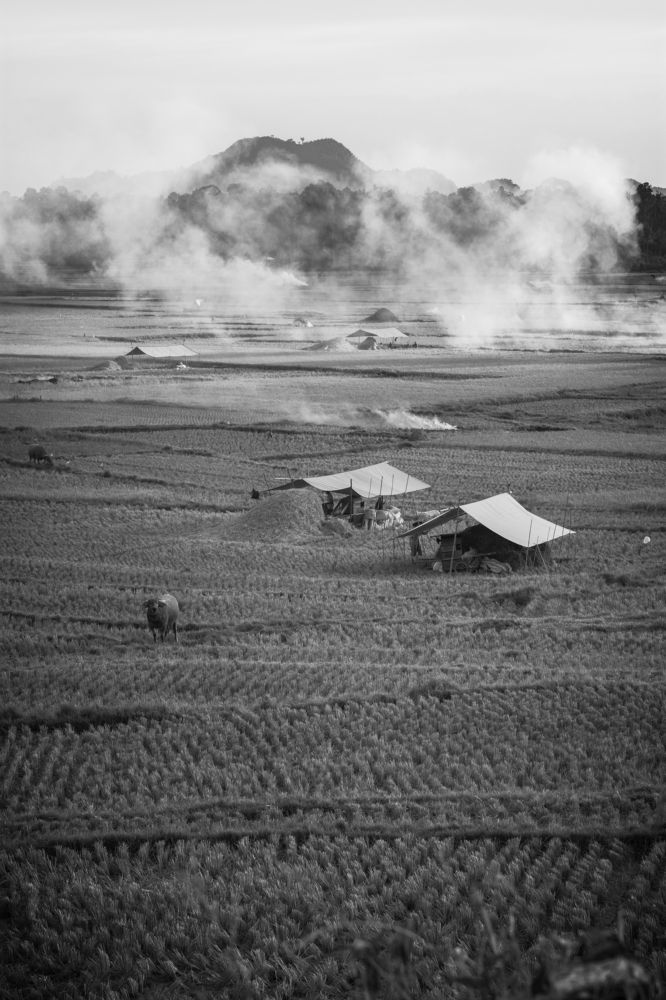 Photograph by Ridwan Ridwan