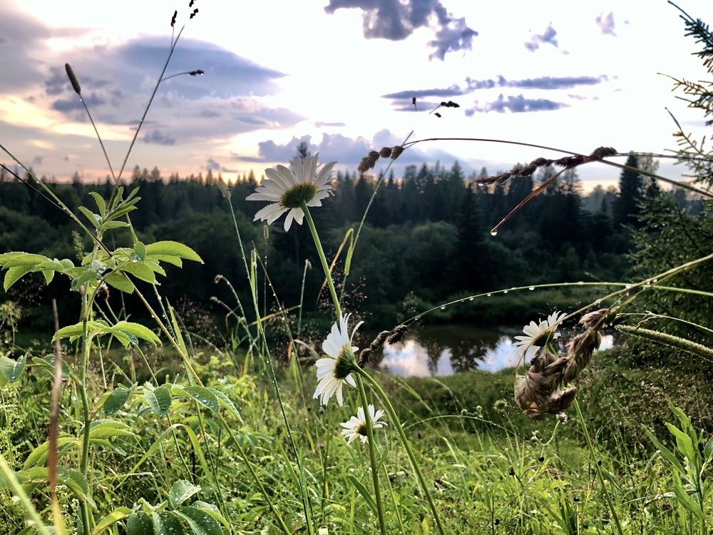 После дождя