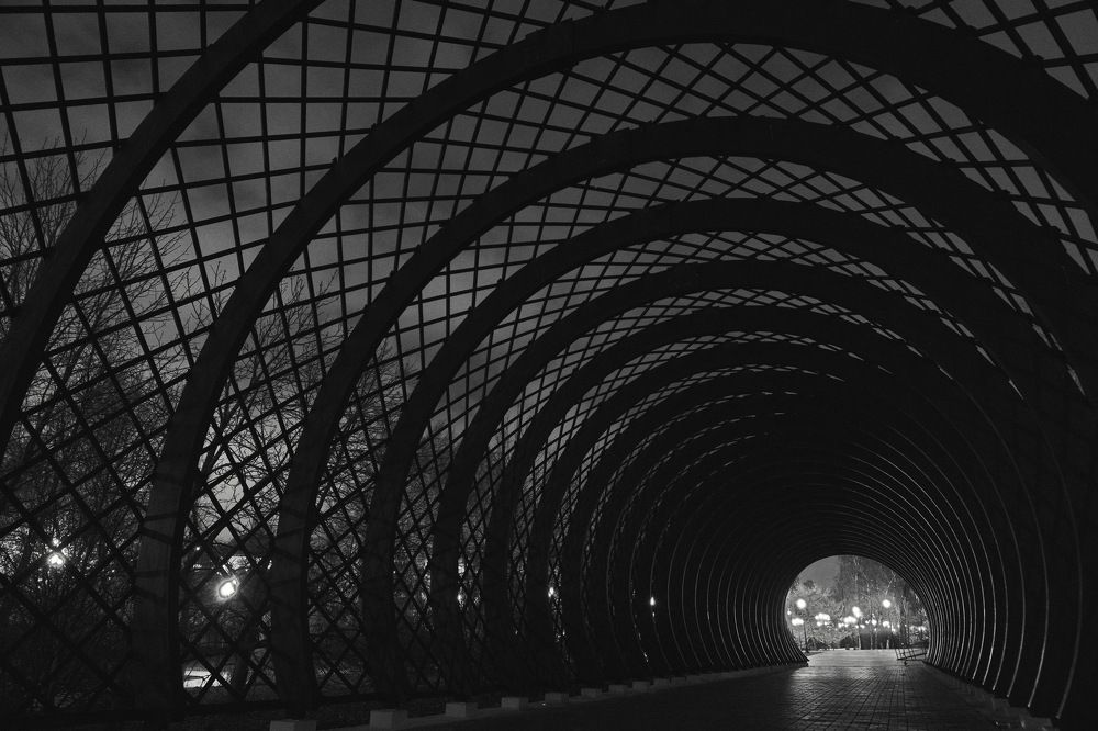 Photograph by Виктор Чернышов