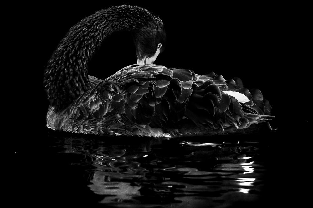 Photograph by Dmitriy Kachin