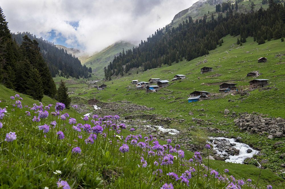 Plateau houses where villagers go in summer