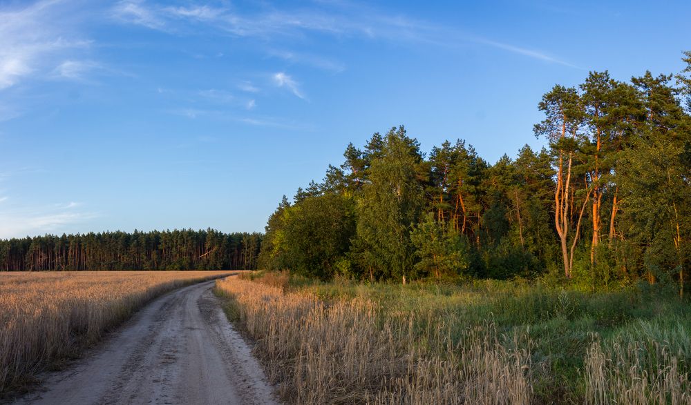 Фотография автора Roman Mishukov