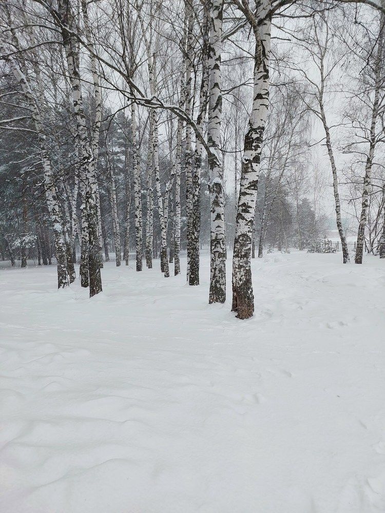 Photograph by Светлана Коршунова