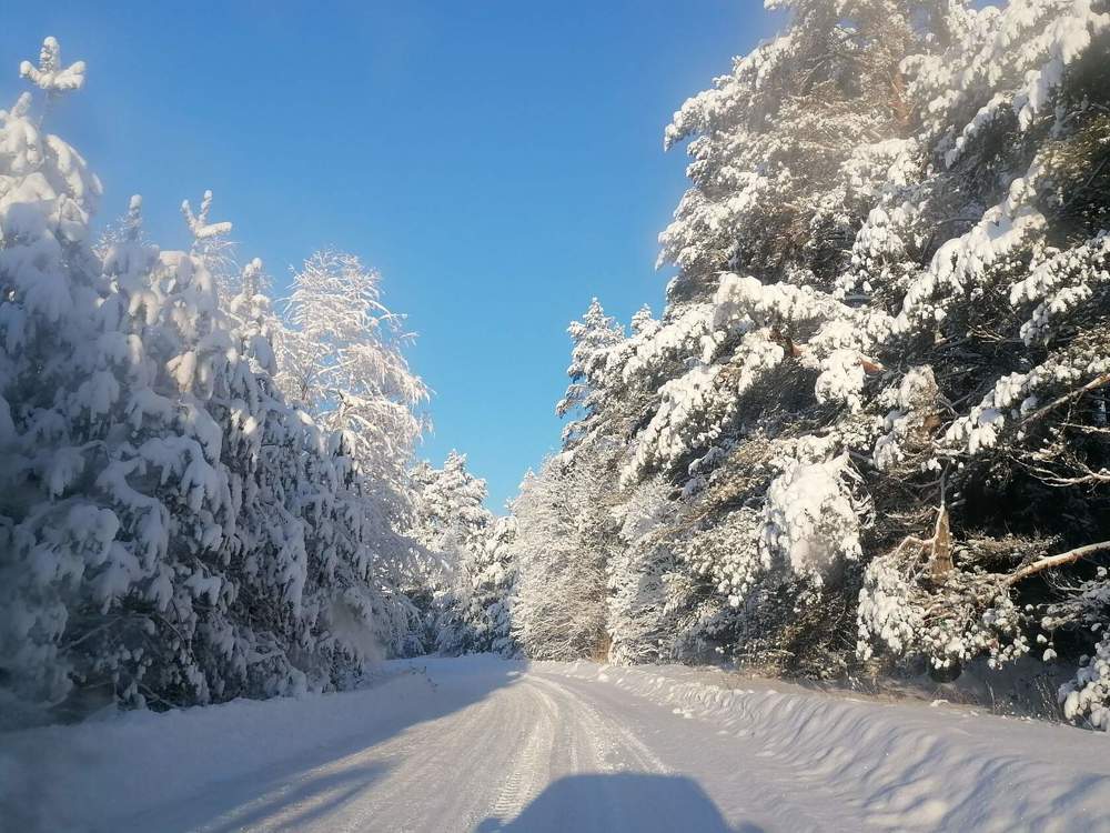 Photograph by Юлия Локалова