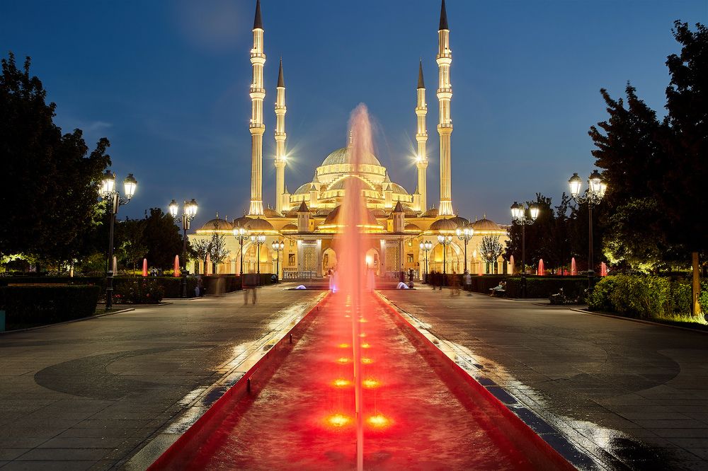 Фотография автора Totoro D