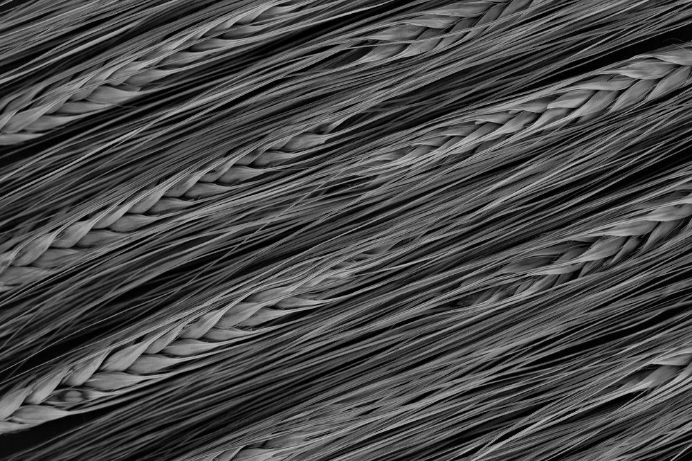 Photograph by Jana Nicolas