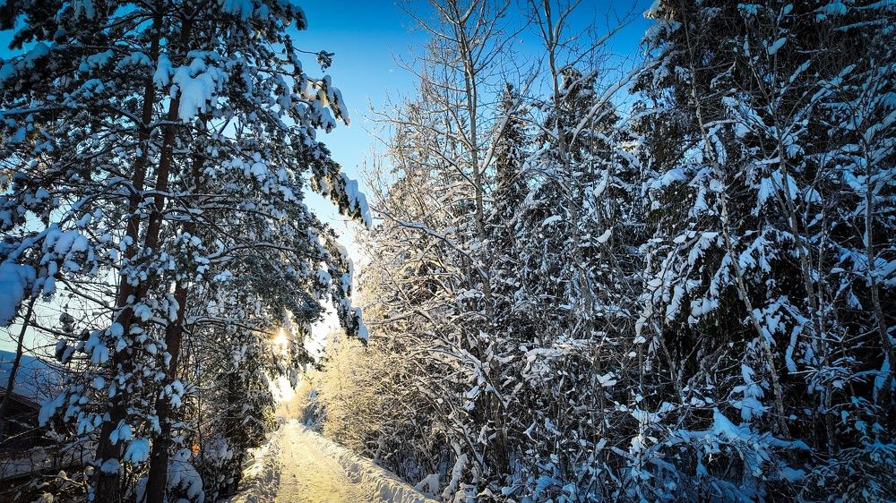 Photograph by Andrey Purtov