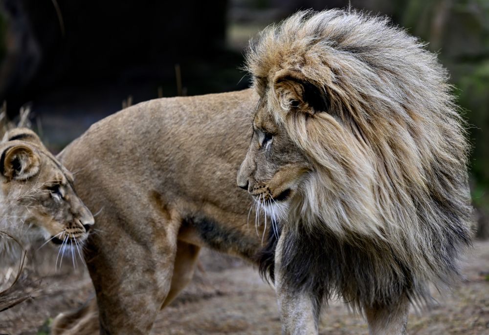 Photograph by Balcetis Audrius