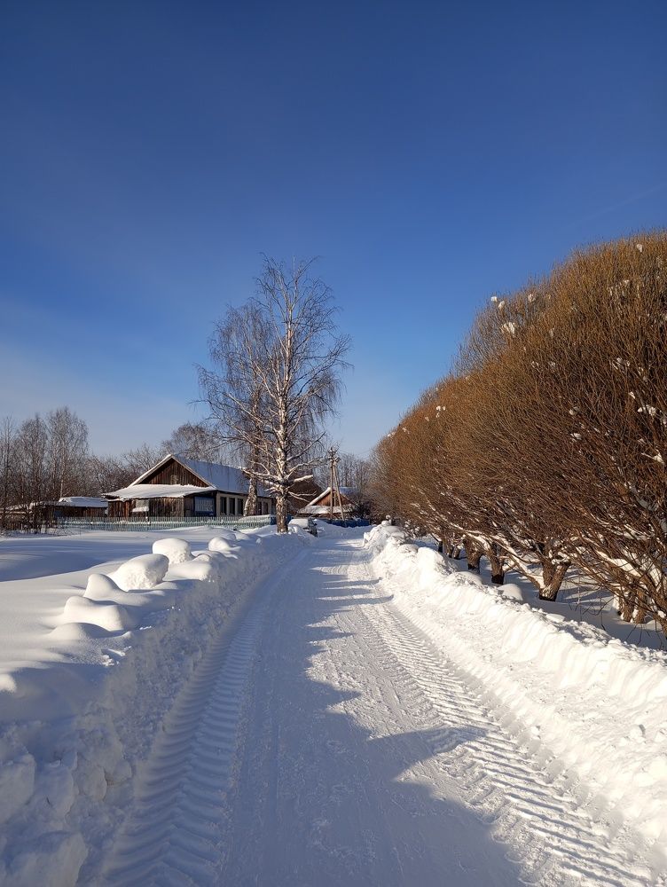 Photograph by София Корепанова