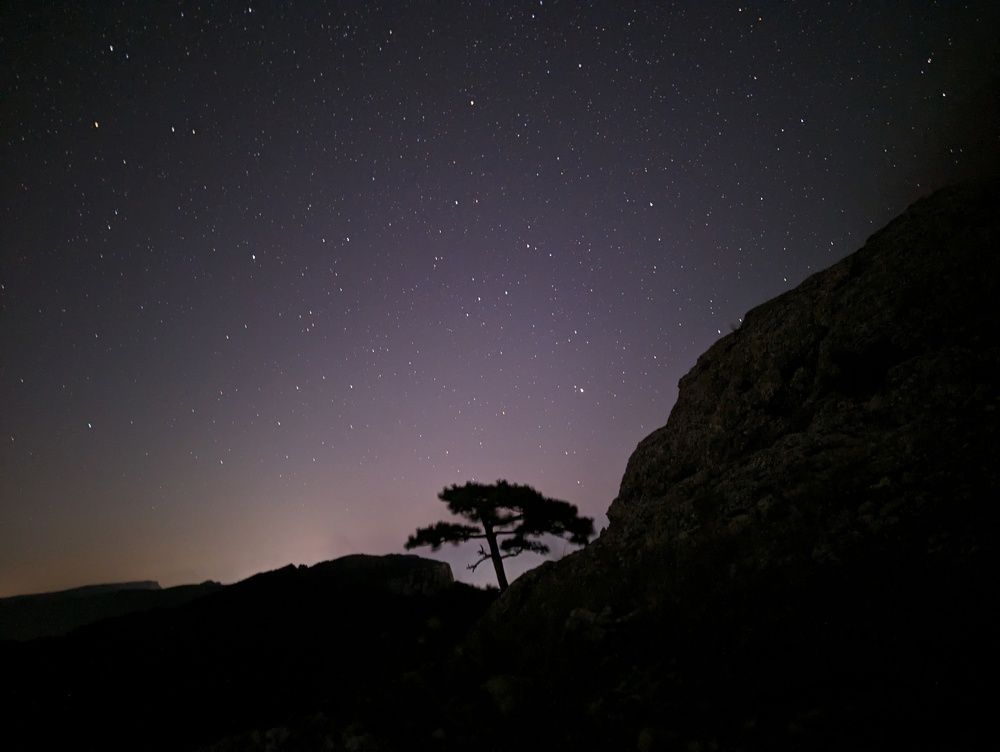 Фотография автора Евгений Петросян