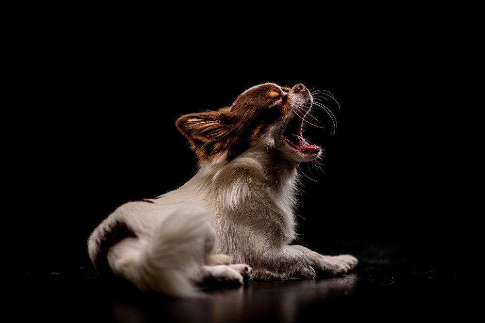 Photograph by Sergey Rygin