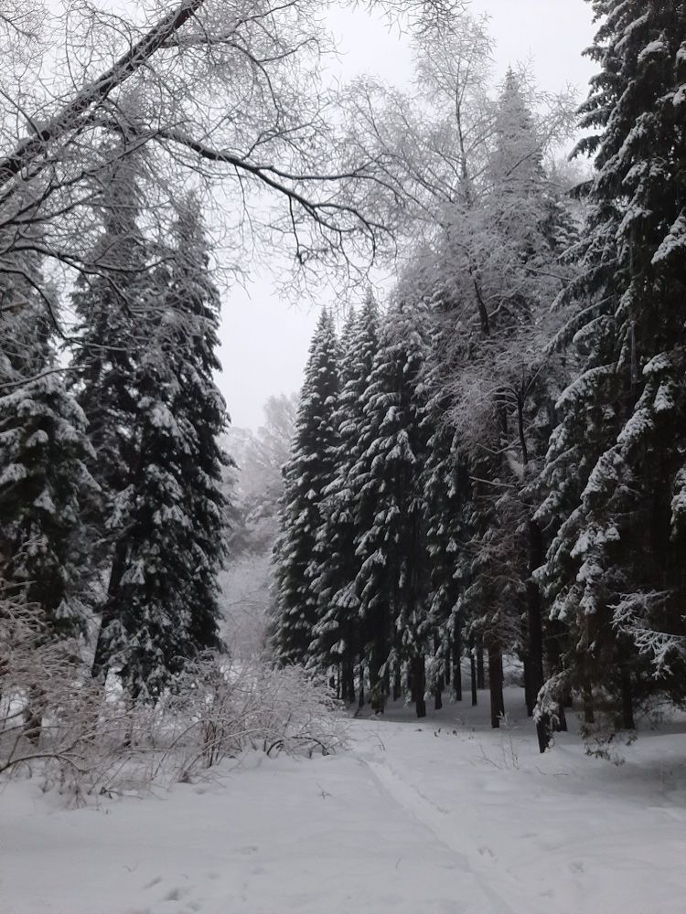 Photograph by Елена Горева