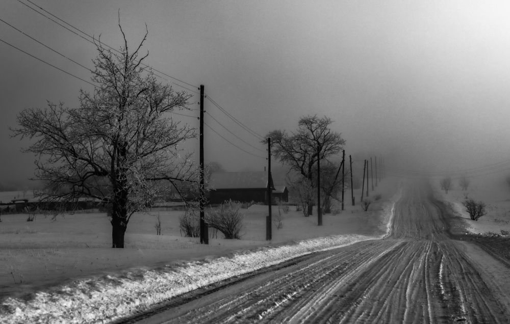 Photograph by Сергей Синягин