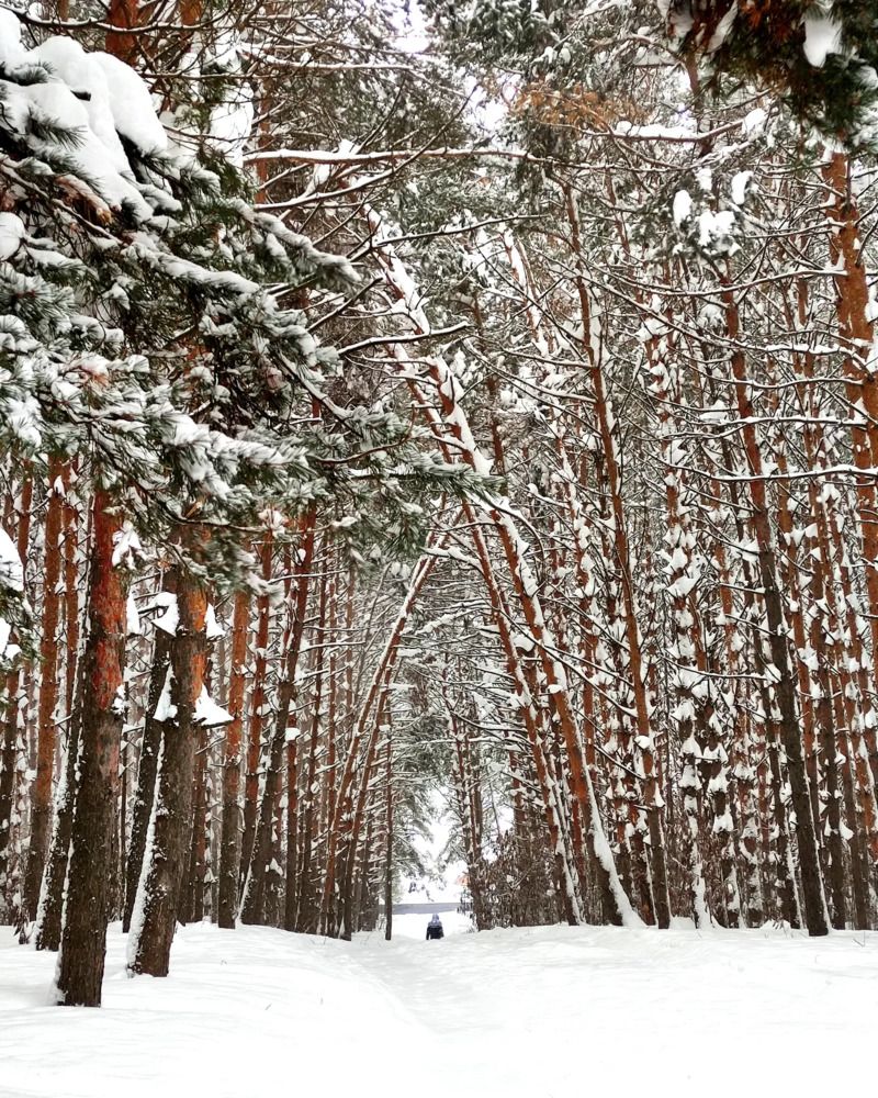 Фотография автора Дарья Гончарова