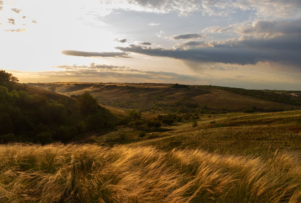 Photograph by Nastya Perekhodkina