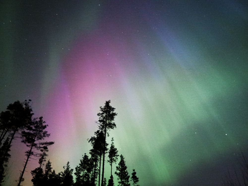 Photograph by Ольга Леонова