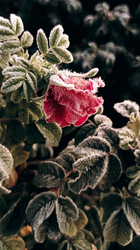 поздняя осень