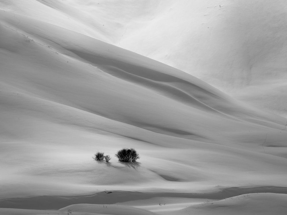 Photograph by Farid Ataei