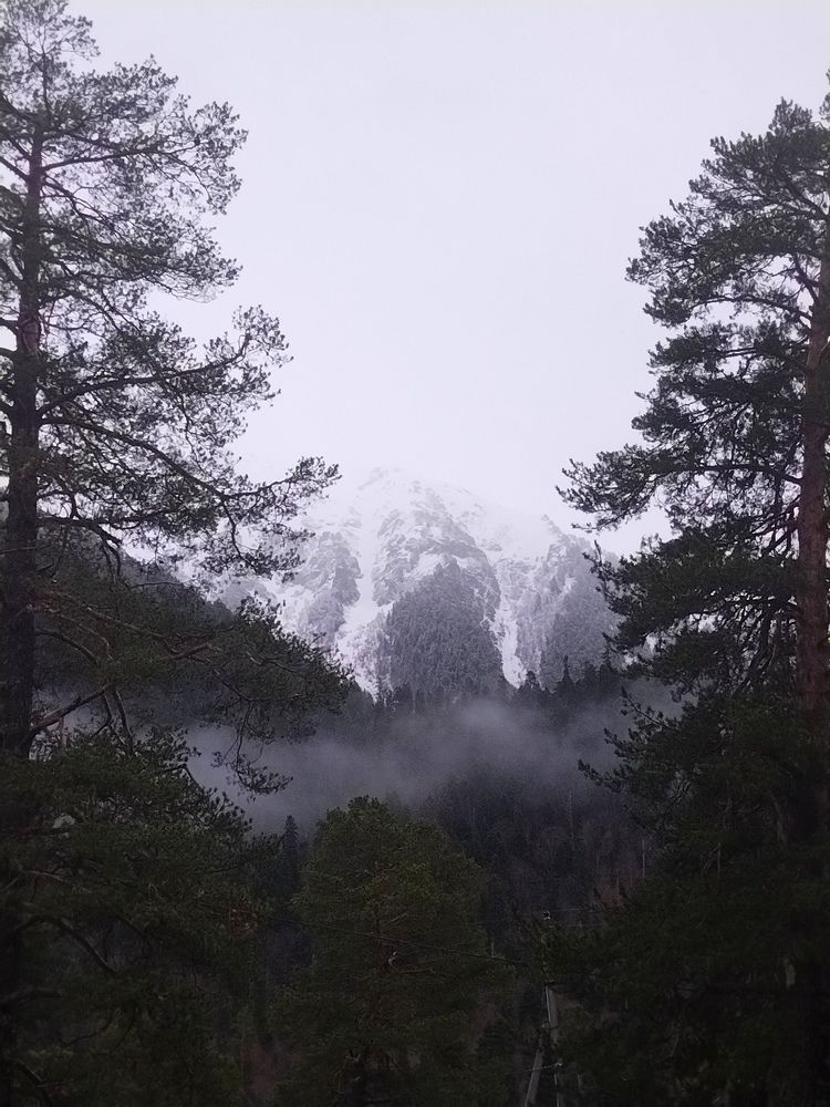 Photo #10261330