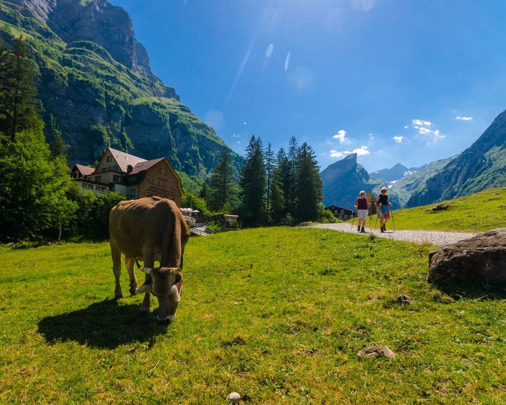 Photograph by Alexey S