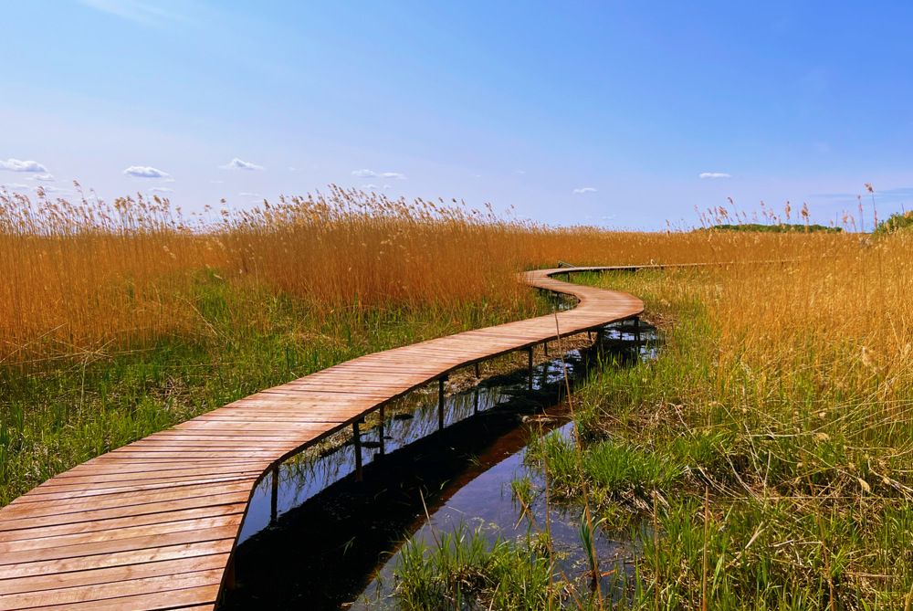 Photograph by Natalia Levenih