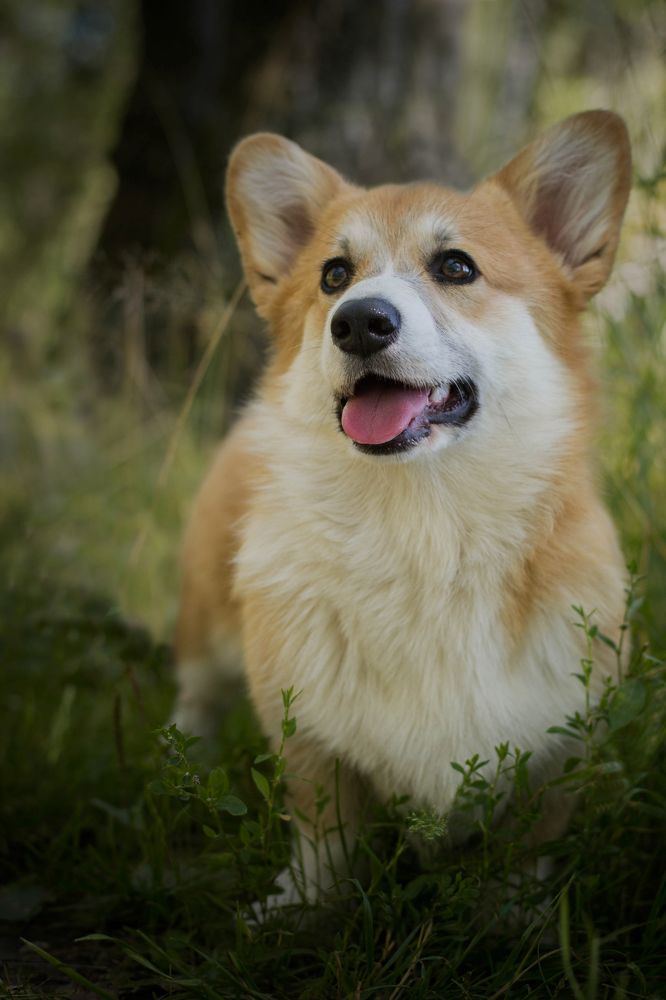 Photograph by Екатерина