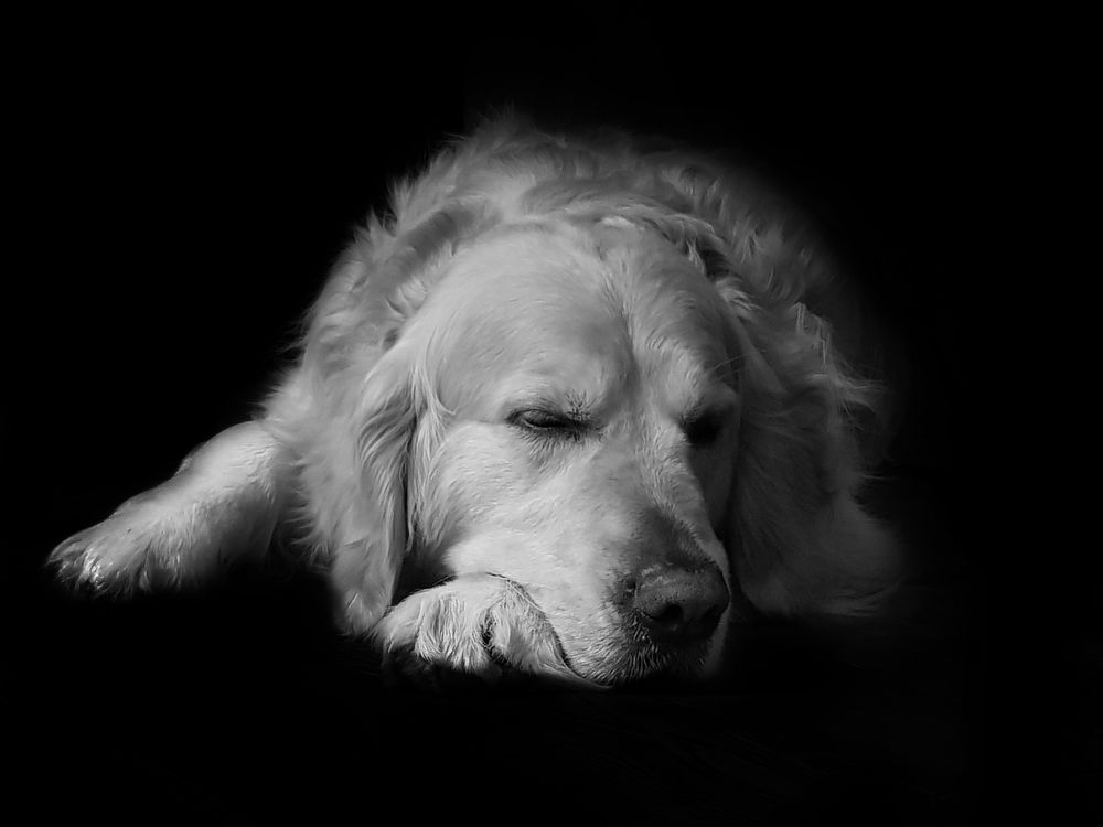 Photograph by Елена Ямнюк