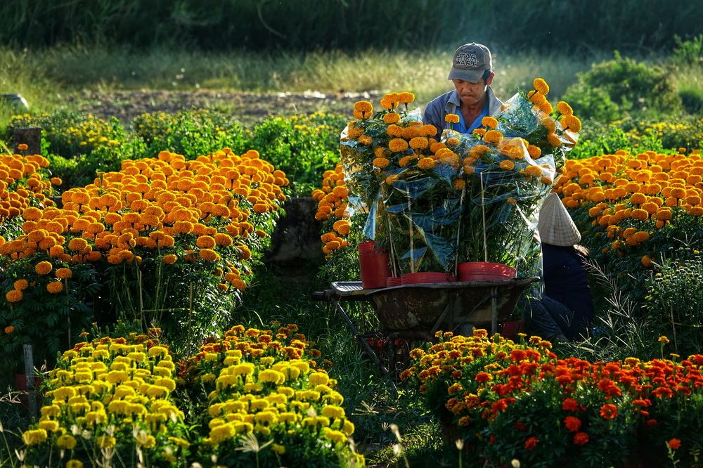 Photograph by Doan Minh Cuong