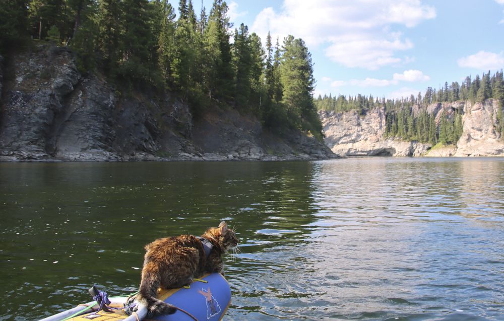 Созерцание