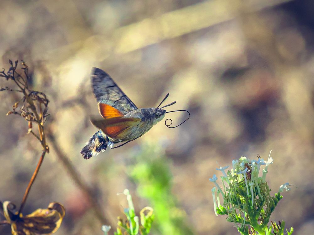 Photograph by Игорь Толкачев