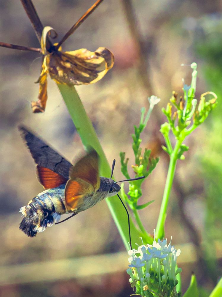 Photograph by Игорь Толкачев