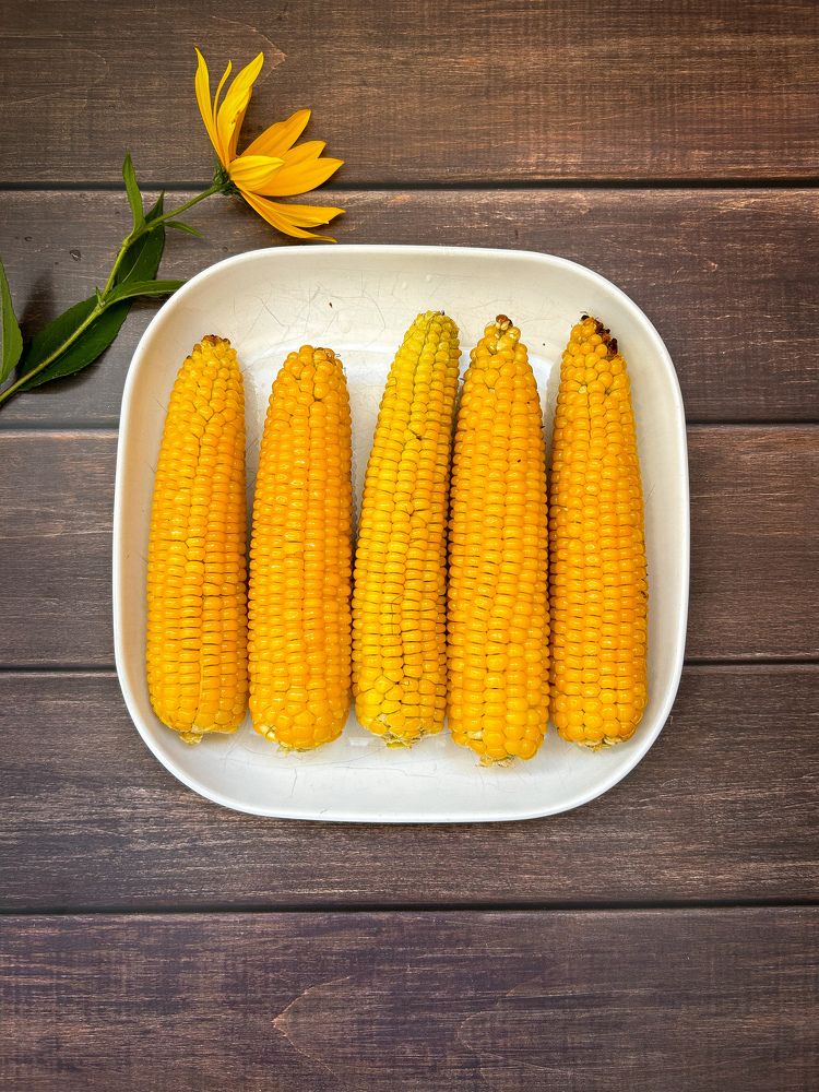 Photograph by Irina Antipova