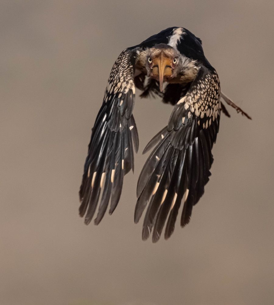 Photograph by Mono Grencel