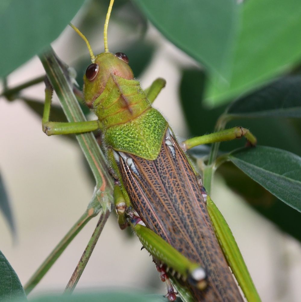 Photograph by Marzio Fattorini