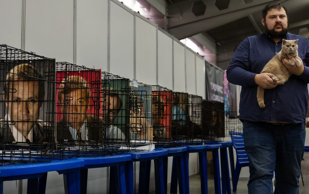 Свободные клетки