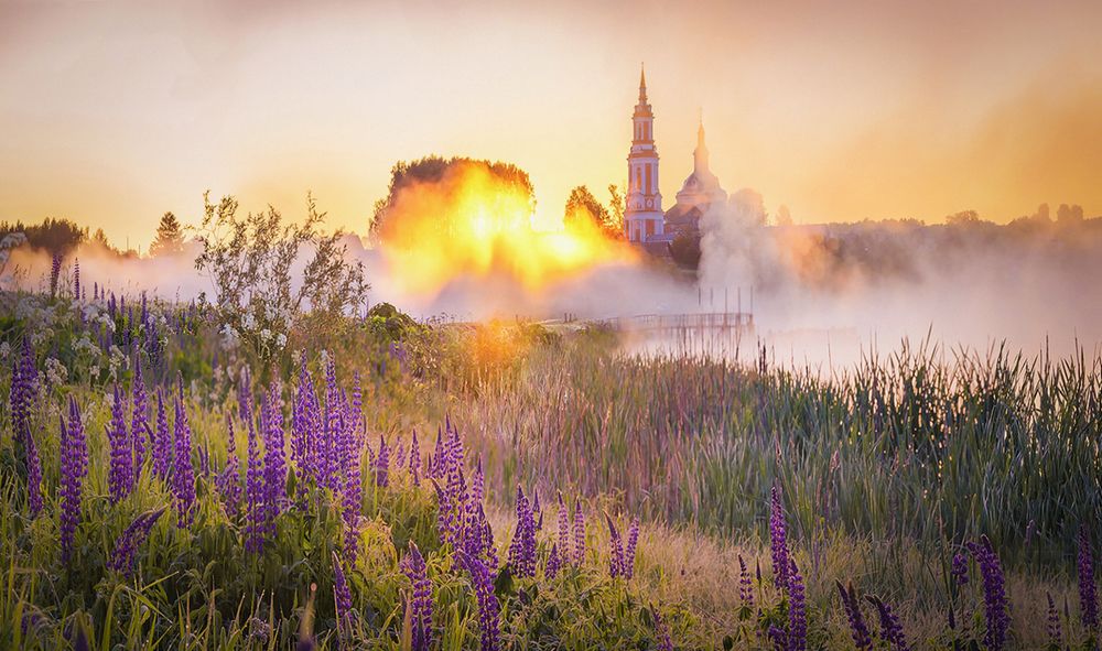 Photograph by Надежда Колеватова